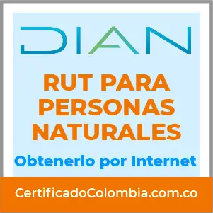 RUT Para Personas Naturales en Colombia DIAN Cómo sacarlo por internet fácil