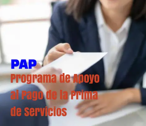 Programa de Apoyo al Pago de la Prima de Servicios (PAP)