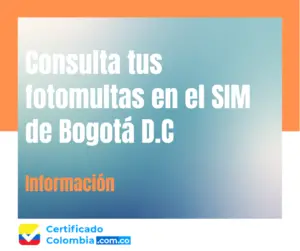 Consulta tus fotomultas en el SIM de Bogotá D.C