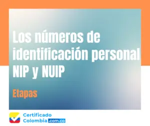 Los números de identificación personal NIP y NUIP